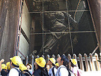 3fd5705ca8804cdf99ab00ab300e45d2