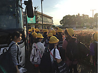 434dfe5661cb49ef8c3e7b0f1ad37dea