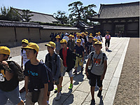 A2c072a8f03540e1a5c7f235f779f6cc