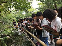 6f230be64d4b4c17a2eb405dd231035b