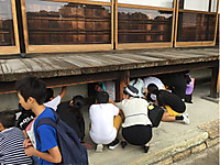 A6895c5a1db84884836696bc4eed3737