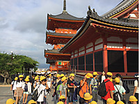 E18dd48bf9da47a09e717c64b43f9884