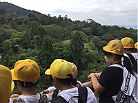 Fdff7be3928f4729b26cf933798cc0ab