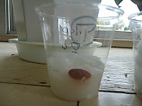 P1040438_2 P1040438_2