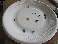 Img_2946_2 Img_2946_2