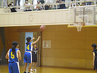 Img_8521 Img_8521