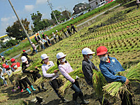 Img_8741_2 Img_8741_2