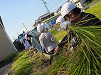 Img_8981_2 Img_8981_2