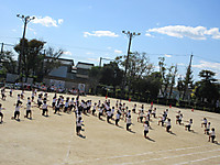 Img_9054 Img_9054