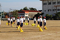 3198d1fda61e4b61a25308a33704e7f3