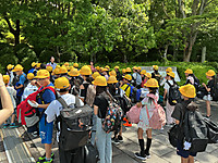 Img_0353