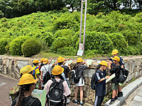 Img_0361