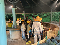 Img_0371