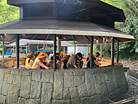 Img_0372