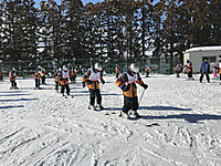 4d4cb76240534ff197cead667230dd97