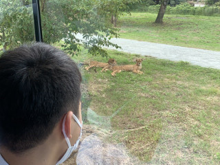 3ada17abb65d4ee68e60ae3d0c7c73ad