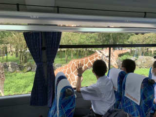 905a369ac9f54504b49653e38c2f8c38