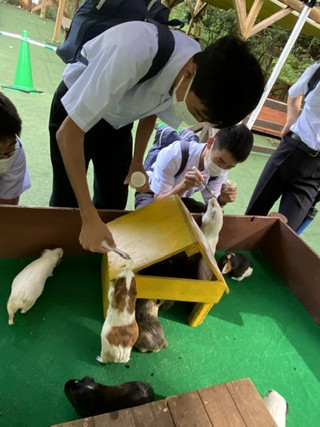 A97cb6cbac1b4c28b1b306bf94f0635e