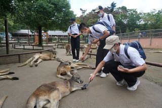 Ede66c15d8ff419589521837fbb3a107