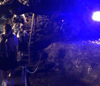 0c10ecf5e578425aa0caefbc875f3b8f