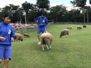 16c9e83700a34e6581b3285ff977a5e2