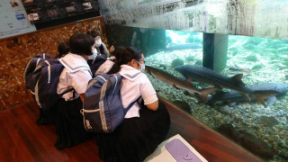 1fc42e6ca5a746efb59e6a0e3e22c8a6