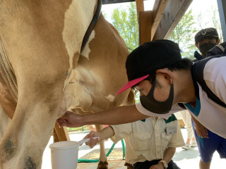 531a9dcb8bb24c11a55dc4bf89cbc7c9