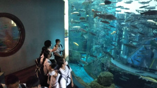 6fa6b1423a5e42ec9111906842d8592f