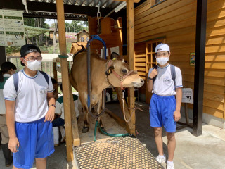 7561e23a6d64400382de0bb9d273ac8e