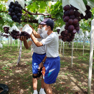 8052bf7968bf4fa28301148bd153be54