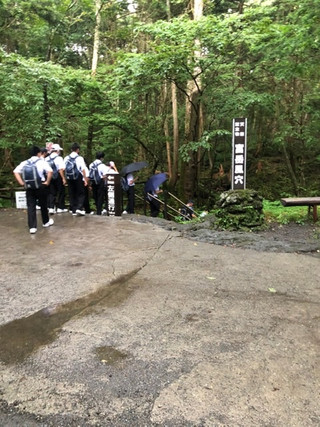 A1a3752976064172ae93a241e2d48020