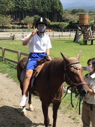 Ceaab11697224dd4ae591cd497450542