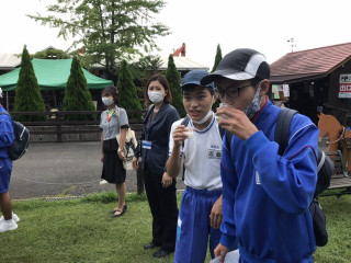 E5964990bd5e47dcb3886ed4b6370463