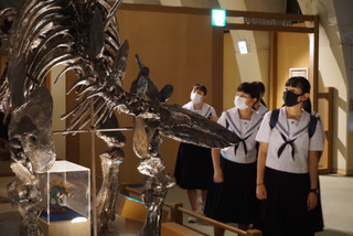 1593fdbbc7074a078a21abde22195663