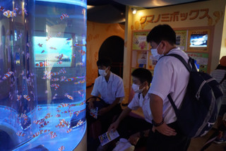 2e9147fdbae34a44b204a30bf9c71cd0