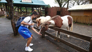 390759c9c04b46efb3dca5b865df7733