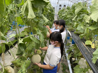 487b8db1f0af48ef8b1fff3db00e2a6f