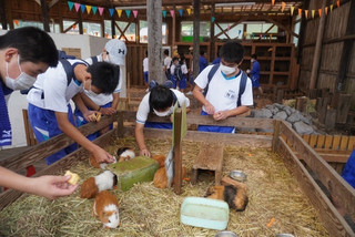 6e3033b200b8404993f5912df1e19e38