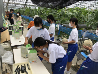 7563db0eee6a455889b8abd3d9d3b1c8