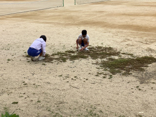 C62b9ca1acf643ee81d51aea1281f9c6