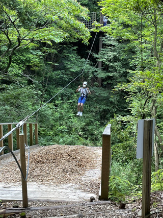 27af481c10bd41e7bd07e0ad2b0e69c4