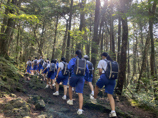 E24dd1b2b6a5419b918892831179fe67