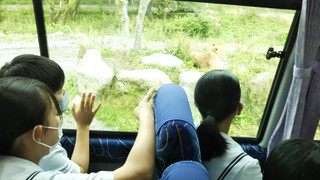 6d2dd09a7672476593df496f8baac01a