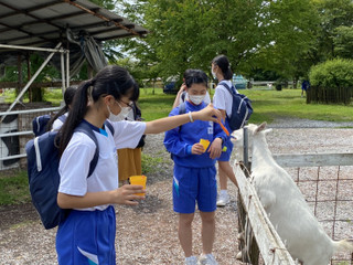 87e25c687cf246288039877ff9b1bad6