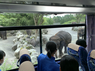 B27396a059e641e78c0589ae62d3c848