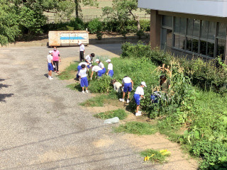 8a77b561e73d46598c3934d4bea237d3