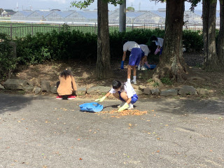 2b73dec48d244d7293e31b0201344d06