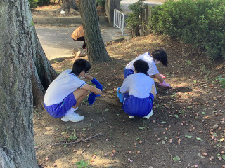 Ee90622e01f94286b2e1b584ddf6249d