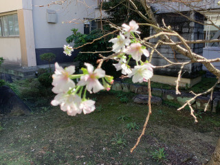 680587e80416436f951bca8b89ef9f10