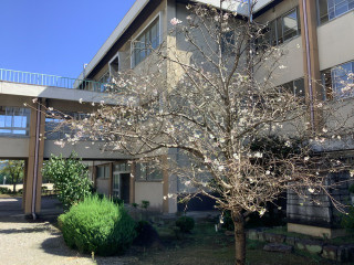 6dba46bfbe2841d28ae82837c3fdd55d